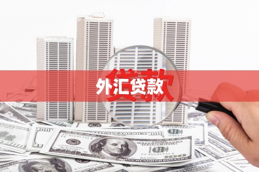 宁晋外汇贷款