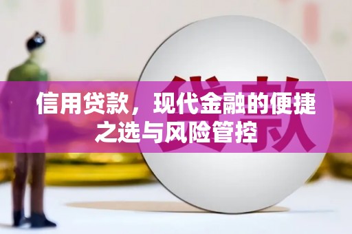 定安信用贷款，现代金融的便捷之选与风险管控