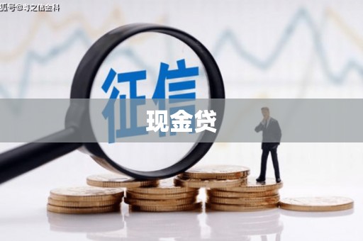 丹凤现金贷