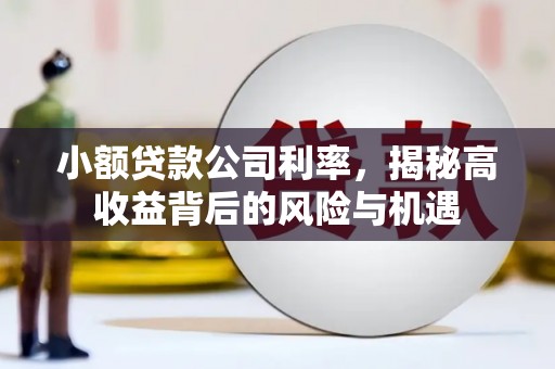 义马小额贷款公司利率，揭秘高收益背后的风险与机遇