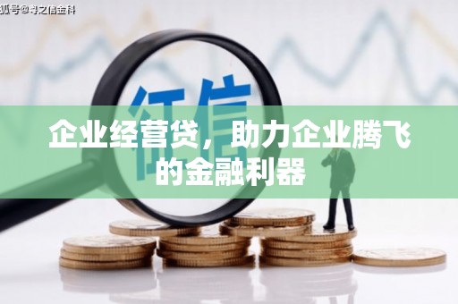 红原企业经营贷，助力企业腾飞的金融利器