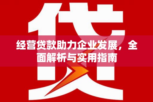 田林经营贷款助力企业发展，全面解析与实用指南