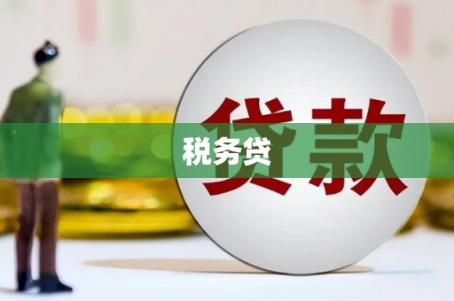 阿克陶税务贷