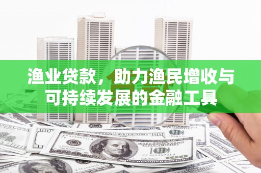 潜江渔业贷款，助力渔民增收与可持续发展的金融工具