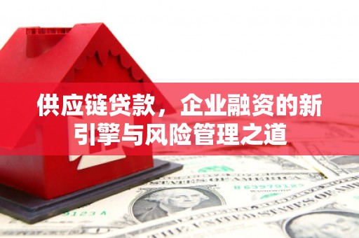 宁晋供应链贷款，企业融资的新引擎与风险管理之道