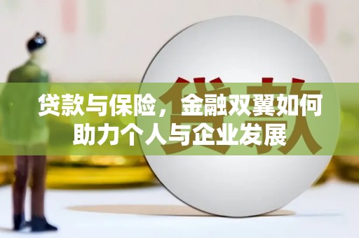 聂荣贷款与保险，金融双翼如何助力个人与企业发展