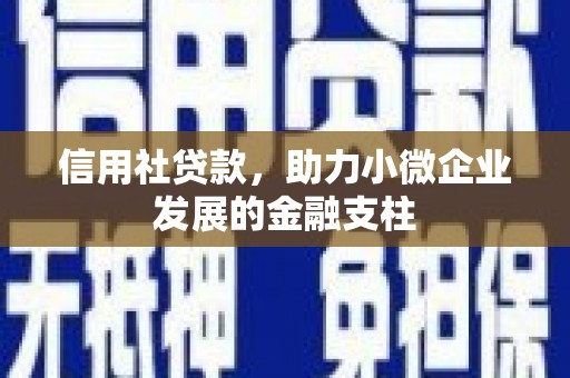 民和信用社贷款，助力小微企业发展的金融支柱
