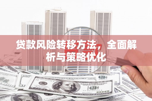 弥陀贷款风险转移方法，全面解析与策略优化