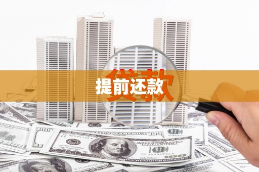 鹿草提前还款