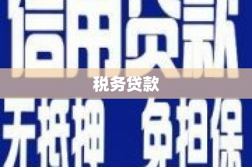 涵江税务贷款