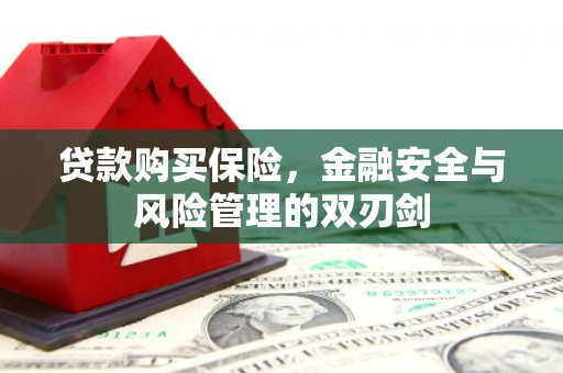上甘岭贷款购买保险，金融安全与风险管理的双刃剑