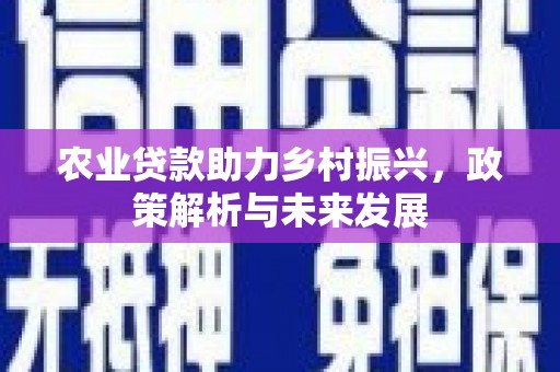阜康农业贷款助力乡村振兴，政策解析与未来发展