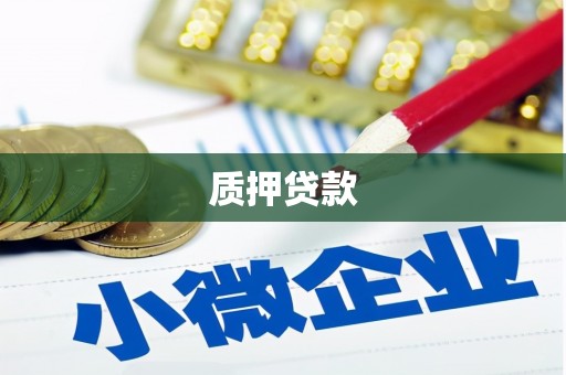 埔心质押贷款
