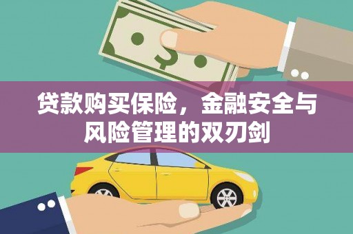 分宜贷款购买保险，金融安全与风险管理的双刃剑