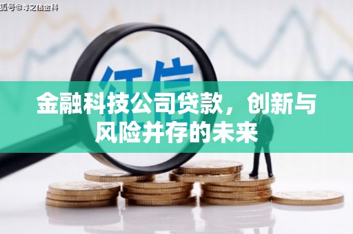 市中区金融科技公司贷款，创新与风险并存的未来