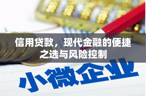 新晃信用贷款，现代金融的便捷之选与风险控制