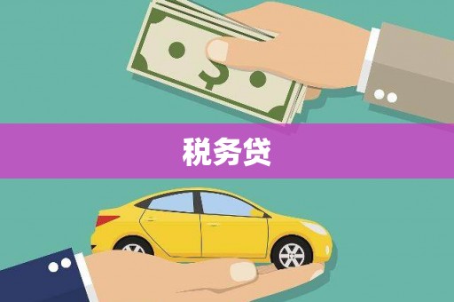 佛坪税务贷