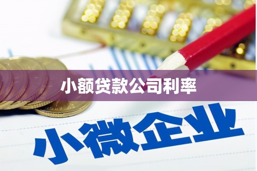 新郑小额贷款公司利率