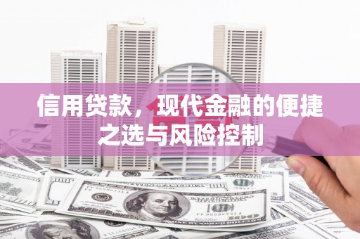 雁塔信用贷款，现代金融的便捷之选与风险控制
