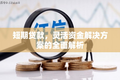 新泰短期贷款，灵活资金解决方案的全面解析