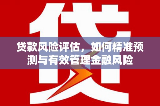 五原贷款风险评估，如何精准预测与有效管理金融风险