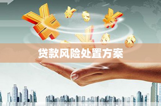 原州贷款风险处置方案
