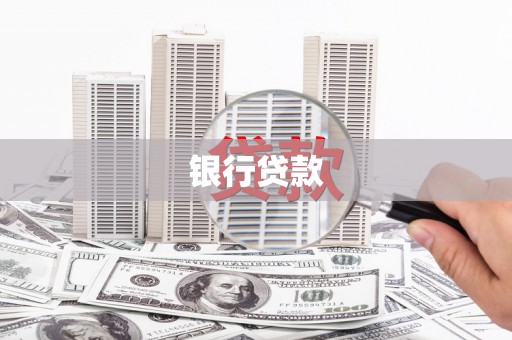 乐东银行贷款