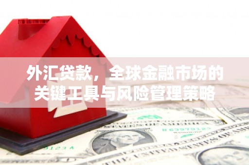 东至外汇贷款，全球金融市场的关键工具与风险管理策略