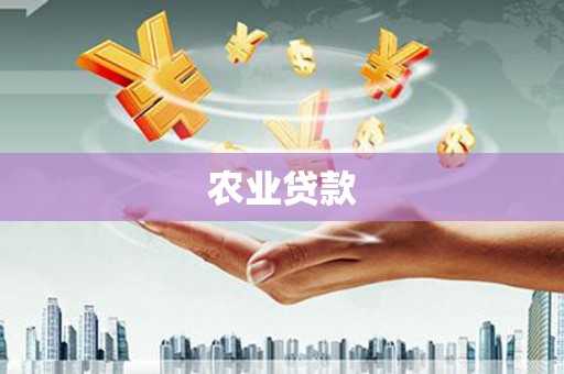 新建农业贷款