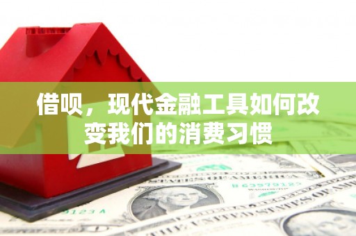 西市借呗，现代金融工具如何改变我们的消费习惯