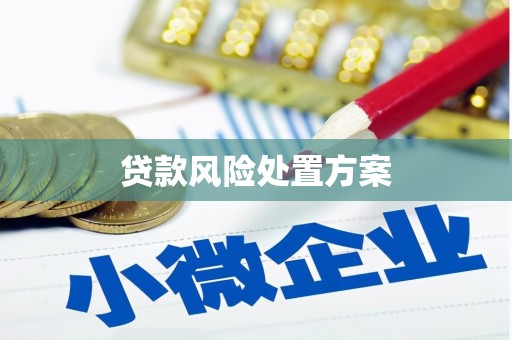 皋兰贷款风险处置方案