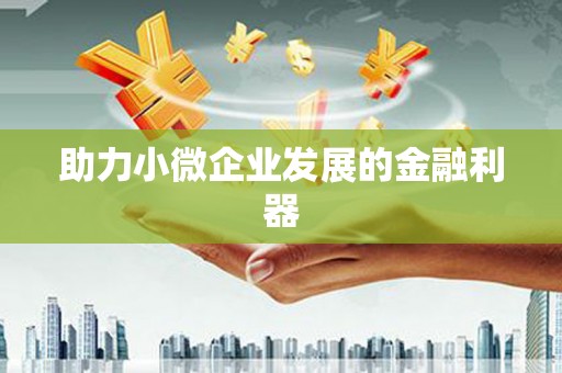 带岭助力小微企业发展的金融利器