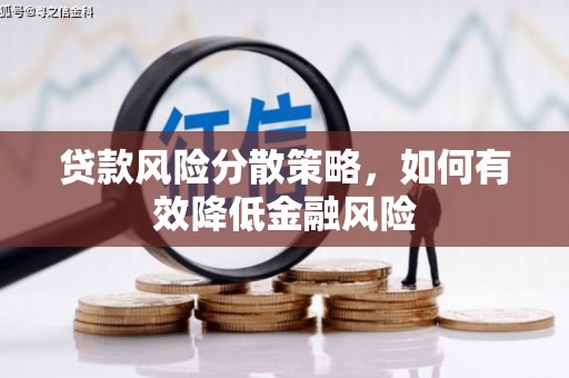 延平贷款风险分散策略，如何有效降低金融风险
