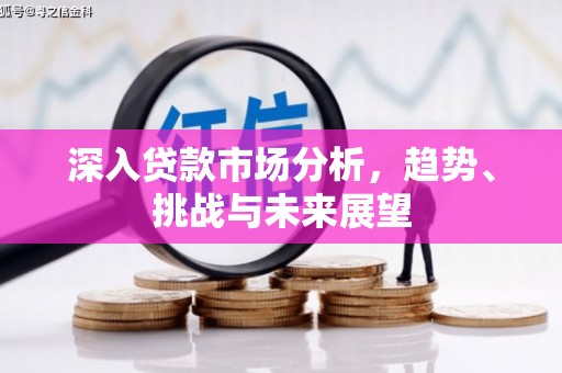 云龙深入贷款市场分析，趋势、挑战与未来展望
