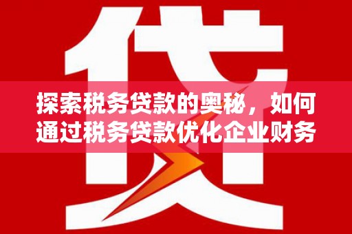 柳南探索税务贷款的奥秘，如何通过税务贷款优化企业财务