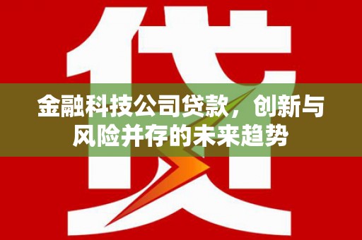 乌拉特前旗金融科技公司贷款，创新与风险并存的未来趋势