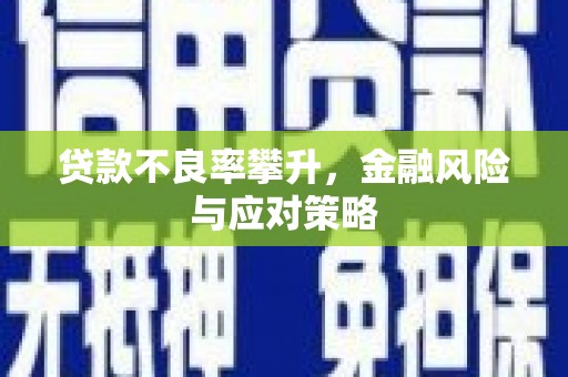 坪林贷款不良率攀升，金融风险与应对策略