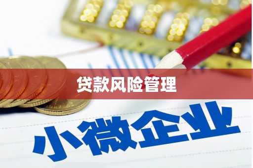 古镇贷款风险管理