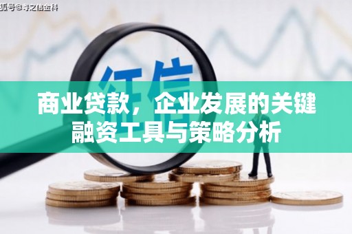 连云商业贷款，企业发展的关键融资工具与策略分析