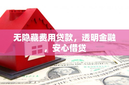 濮阳无隐藏费用贷款，透明金融，安心借贷