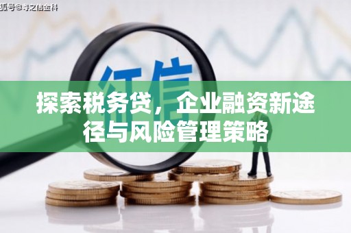 顺庆探索税务贷，企业融资新途径与风险管理策略