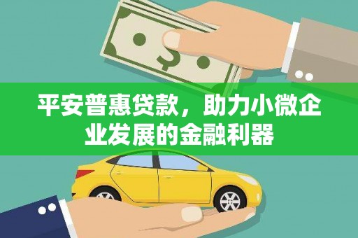 乐都平安普惠贷款，助力小微企业发展的金融利器
