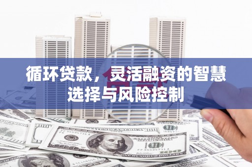 锡林浩特循环贷款，灵活融资的智慧选择与风险控制