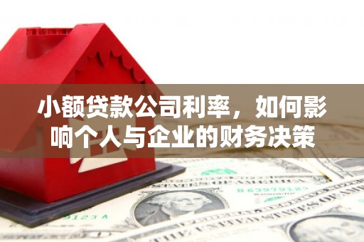潍城小额贷款公司利率，如何影响个人与企业的财务决策