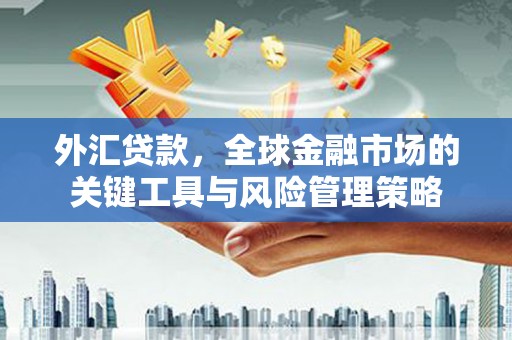息县外汇贷款，全球金融市场的关键工具与风险管理策略