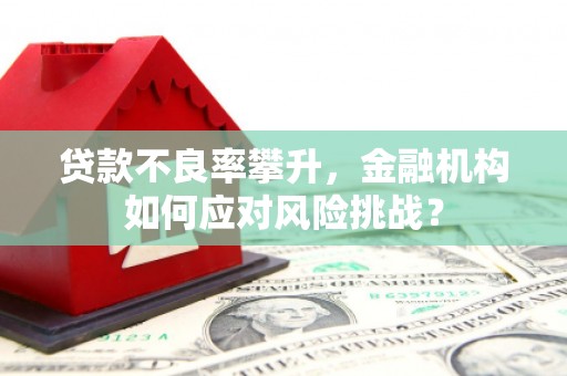 宝塔贷款不良率攀升，金融机构如何应对风险挑战？