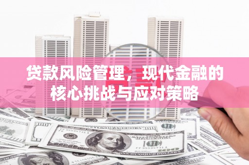 项城贷款风险管理，现代金融的核心挑战与应对策略