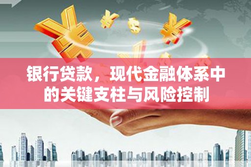 岷县银行贷款，现代金融体系中的关键支柱与风险控制
