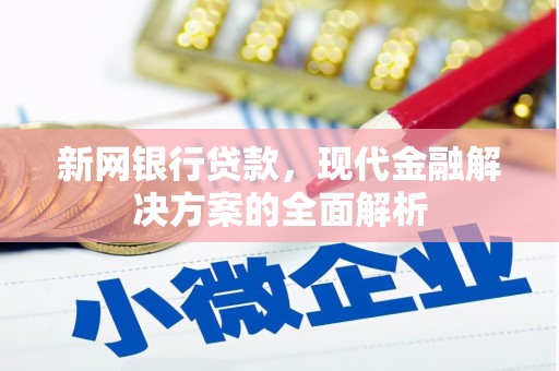 端州新网银行贷款，现代金融解决方案的全面解析