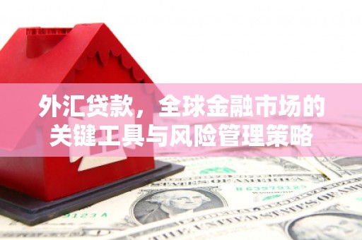 翁牛特旗外汇贷款，全球金融市场的关键工具与风险管理策略